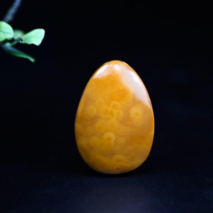 6677